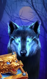 Book Of The Night Wolf